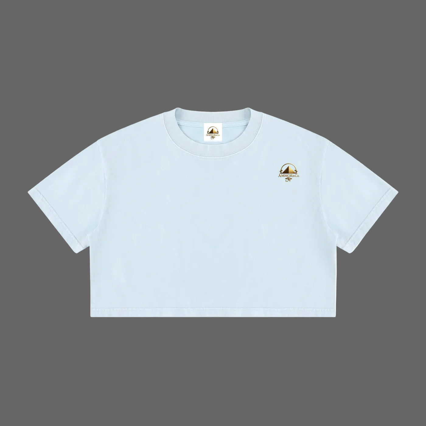 Mineral Wash Crop Tee — Women | AMMOR&CO.