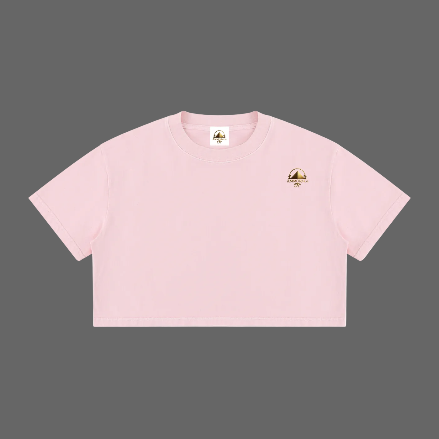 Women's Mineral Wash Crop T-Shirt Apricot - AMMOR & Co