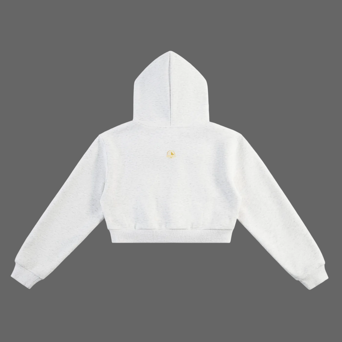Essential Cropped Hoodie Charcoal Gray - AMMOR & Co Women's