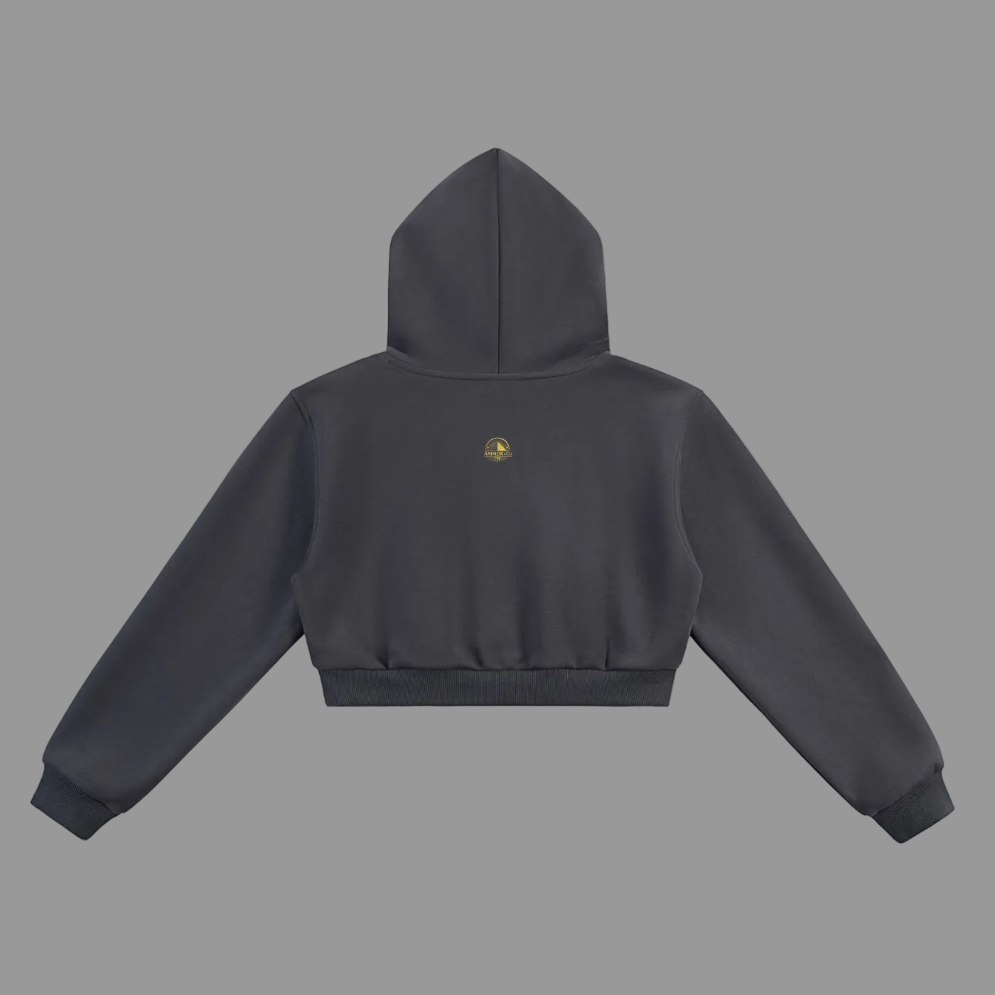 Dynasty Cropped Hoodie — Women | AMMOR&CO.